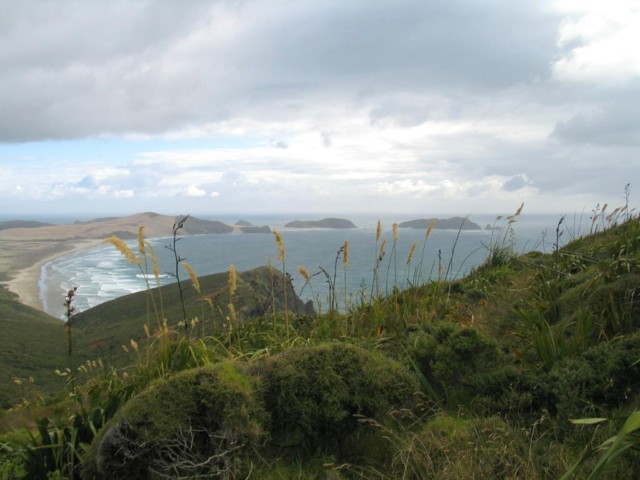 Cape Maria van Diemen facing the Tasman Sea